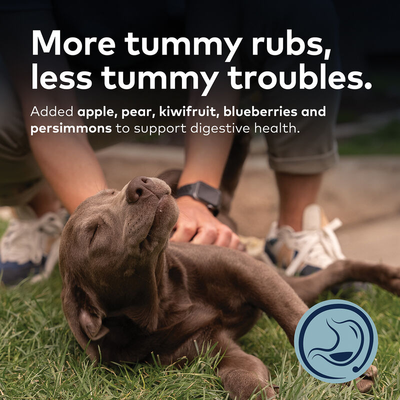 ZIWI, Peak Steam & Dried Chicken with Orchard Fruits Dog Food image number null